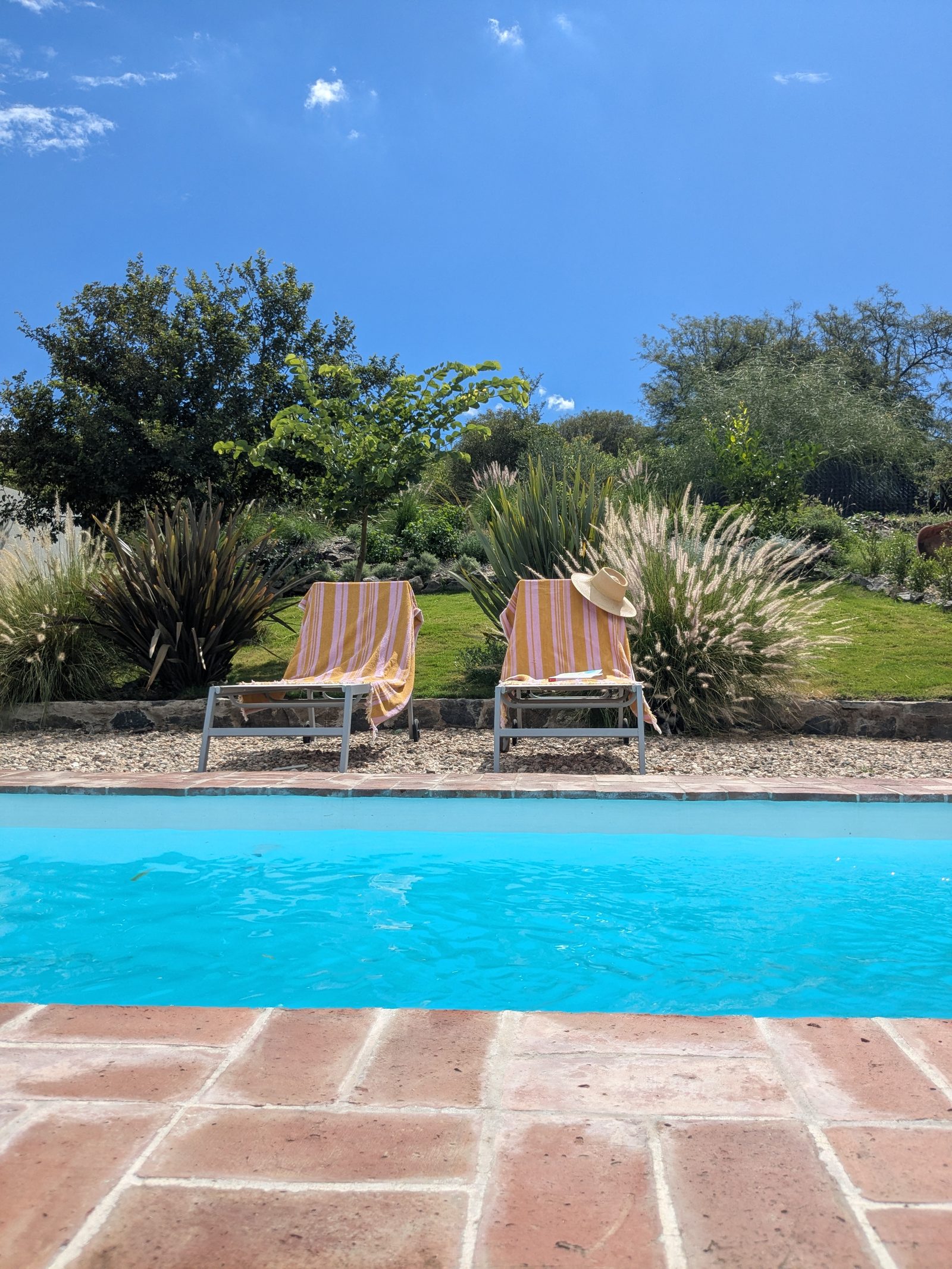 Pool with loungers and native garden