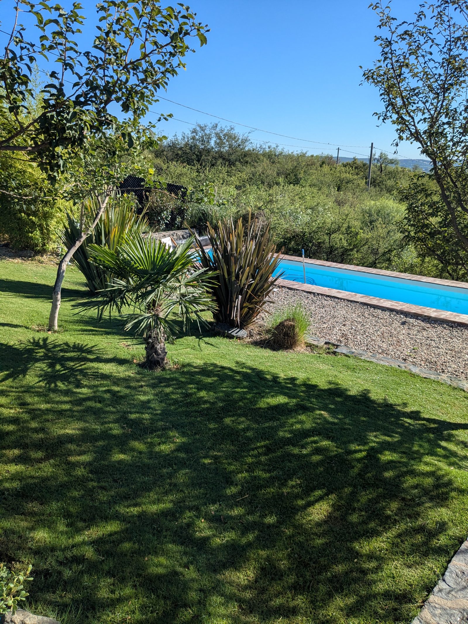Garden and pool with native forest and valley views